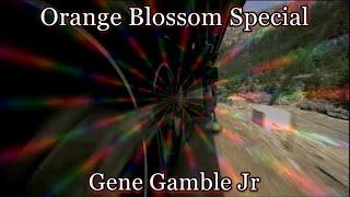 Orange Blossom Special ~ ~ ~ Gene Gamble Jr