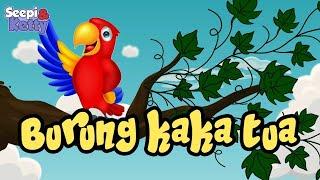 Burung kaka tua Dan Lainnya| Lagu anak | Lagu anak populer