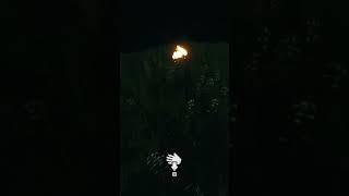 The Forest | This Game Is Freaky! #theforest #sonsoftheforest #gaming #endnightgames #endnight