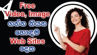 Top 2 Web Sites for Free Stoke Videos and Images | copyright free video and Image website sinhala