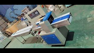 flow wrapping machine, servo motor system, masks packaging machine