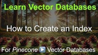  How to Create an Index in Pinecone - Vector Databases Made Easy!  Perfect for Vector Beginners