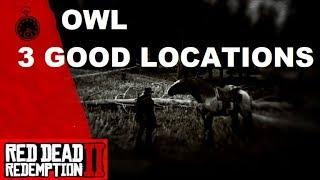 Red Dead Redemption 2 Best Owl Locations