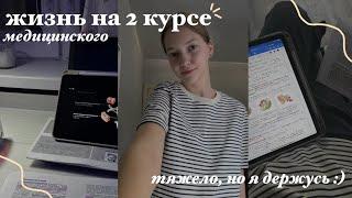 КАК Я УЧУСЬ (выживаю) НА 2 курсе меда??? || ГДЕ ВЗЯТЬ СИЛ???