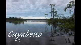 Exploring Amazonian Ecuador: Cuyabeno Wildlife Reserve