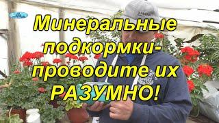 Почему ТАКИЕ подкормки минеральными удобрениями совершенно безвредны?