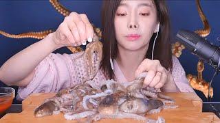 Octopus Eating Live Ssoyoung ASMR - (watch all the way through)