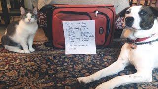 How to Prepare your Pet/s Before you go on Vacation?