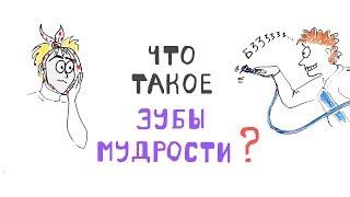 Что такое Зубы Мудрости?