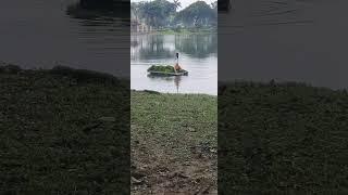 Cleaning in progress @ Kelana Jaya Lake