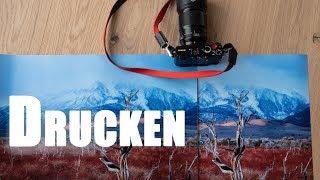 Fotos Drucken für Fotografen