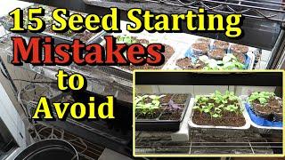 The 15 Biggest Mistakes Gardeners Make Starting Seeds Indoors (And How to Avoid Them)