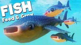 RAISING MY ADORABLE WHALE SHARK BABIES! | Feed and Grow Fish