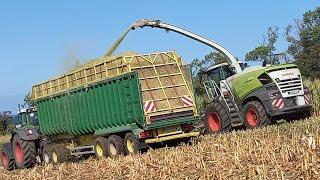 Gut Hohen Luckow Mais häckseln.MAN AgroTruck-Kröger Agroliner,John deere 6r/7r,Fendt 826,Jaguar 970