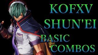 【KOF15】THE KING OF FIGHTERS XV シュンエイ 基本 コンボ【KOFXV SHUN'EI BASIC COMBOS】