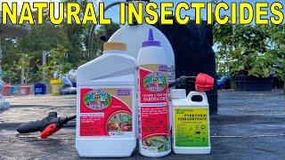 2 Natural Insecticides Every Organic Gardener Should Have