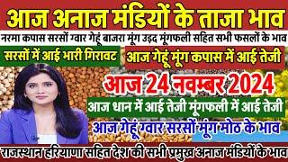 अनाज मंडी भाव| 24 Nov 2024 धान मूंग गेहूं कपास में आई तेजी| Narma sarso ke bhav, सभी फसलों के भाव,