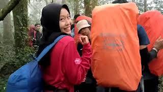 GUNUNG PESAGI - menyusuri jalur terpanjang gunung pesagi part 1