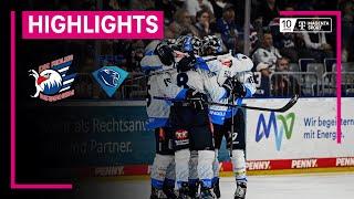 Adler Mannheim - ERC Ingolstadt | PENNY DEL | MAGENTA SPORT