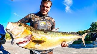 Margaret River GIANT FISH Catch n Cook