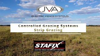 Introduction to Strip Grazing