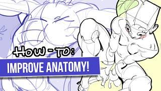 How To Study: Anatomy  #tutorial
