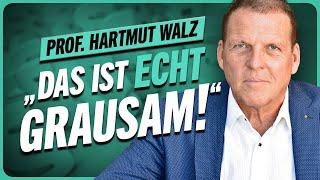 Du zahlst 25% STEUERN, obwohl du Geld verlierst! // Prof. Hartmut Walz