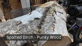 Surprising Woodturned Spalted Birch after so many hurdles.