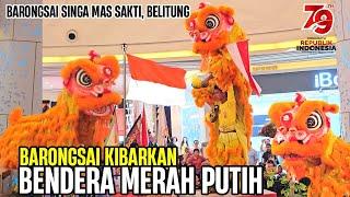  BARONGSAI KIBARKAN BENDERA MERAH PUTIH | Acrobatic lion dance 2024