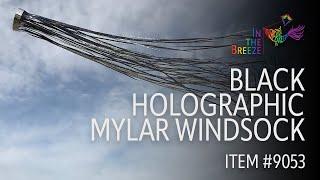 Black Holographic Mylar Windsock - In the Breeze