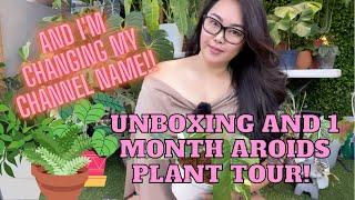 Unboxing and 1 month Aroids plant tour!!