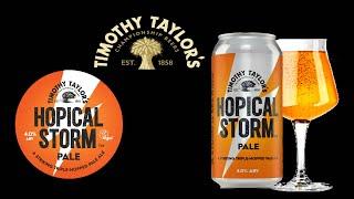 Timothy Taylor Hopical Storm