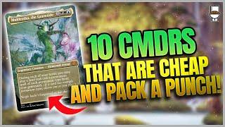 10 Budget Commanders That Pack A Punch  - Shower Thoughts Ep2 - BRBMTG