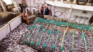 Life On Alaska's Largest Deep-sea Trawling Vessel | Fish Factory On the High Seas