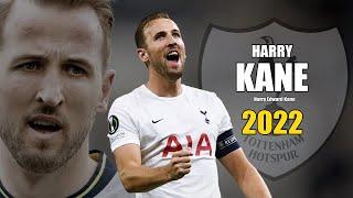 Harry Kane 2022 ● Amazing Skills & Goals Show | HD