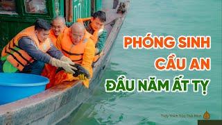 Phóng sinh đầu năm - Hồi hướng nguyện cầu đất nước hưng thịnh thái bình, nhân dân ấm no hạnh phúc