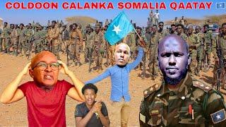 DEGDEG COLDOON TUUTE XIRTAY CALANKI SOMALIA QAATAY RUNTA USHEEGAY CABDIRIXMAAN CIRO,XOG CULUS,DAGAAL