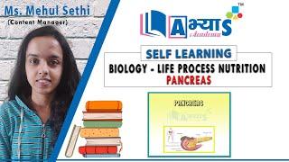 Pancreas | Life Process Nutrition | Biology | abhyasonline.in | Abhyas Academy | Ms. Mehul