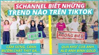 Schannel biết những Trend nào trên Tiktok: Ai là Tiktok Master (P3)