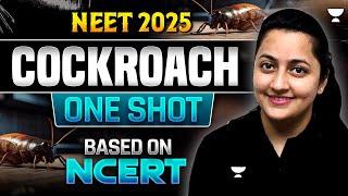 Cockroach | One Shot | Based on New NCERT | NEET 2025 | Infinity Series | Ambika Ma'am