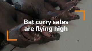 Bat curry still popular in Indonesia despite coronavirus outbreak