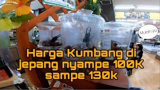 HARGA HEWAN DI JEPANG MAHAL , ANJING TEMBUS 30jt !!!