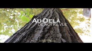 Au-delà de notre vue (documentaire)