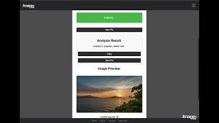 How to Analyze Your Images with AI on Image Insight – Complete Guide