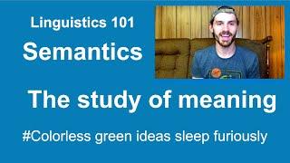 Semantics: Intro to Linguistics [video 8]