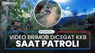 Beredar Video Brimob Dicegat KKB Papua Saat Patroli di Papua