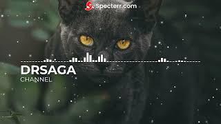 DRSAGA-Positive | No Copyright Music