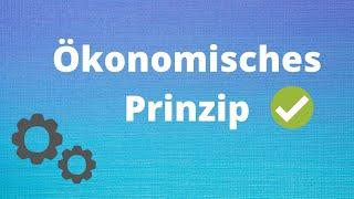 Ökonomisches Prinzip, Minimalprinzip, Maximalprinzip