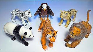 Verwandelbare Tierspielzeug-Roboter - Panda, weißer Tiger, Löwe, Tiger, Adler, Gepard