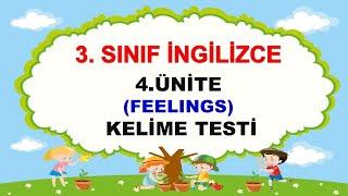 3.Sınıf İngilizce | 4.Ünite (Feelings)  Kelime Testi